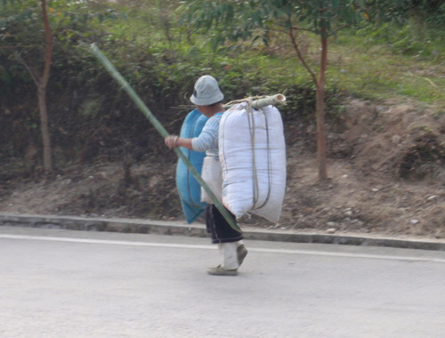 Chinese lady with a big load.